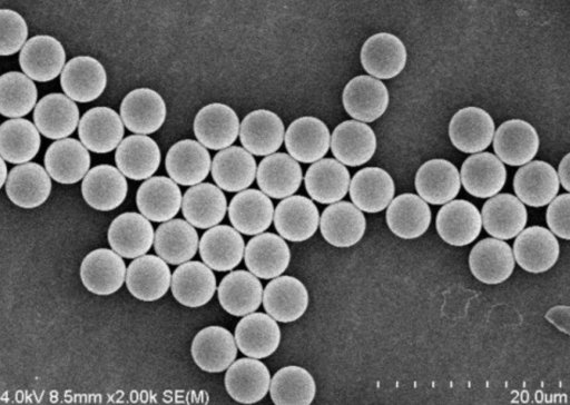 ���Ȟ�ʲôҪ�M�Мy�� �˶����ȃxҪ�Ø˜����|��