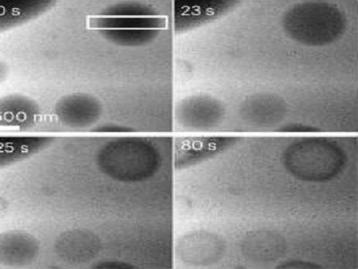 ����Ժʿ�I(l��ng)㕣���ʾ����ˮ�ϟo����̼���}�w���D(zhu��n)���¼��g(sh��)��