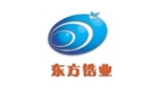 �V�|�|��䆘I�Ƽ��ɷ����޹�˾������ϯ2025ȫ�̑B늳ؼ��g�������