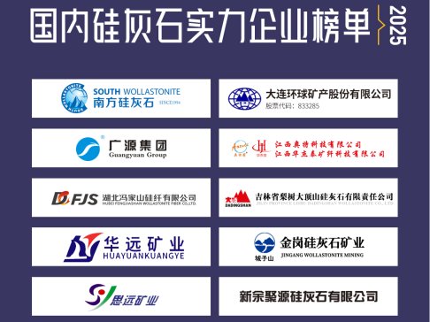 2025�����(n��i)���ʯ������I(y��)���