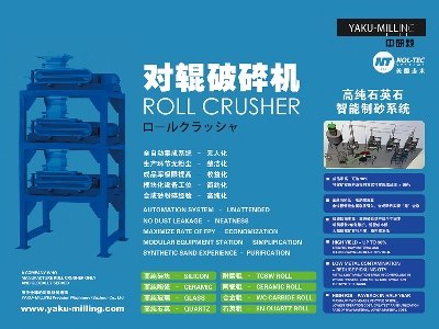 �����w�c����s�|����2025�����ü����·������ø߼�ʯӢ���Ϯa(ch��n)�I(y��)�l(f��)չ���(hu��)