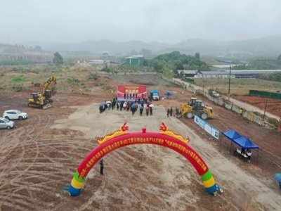 20�f���������@�ׂ�ɫĸ���Ŀ�������M