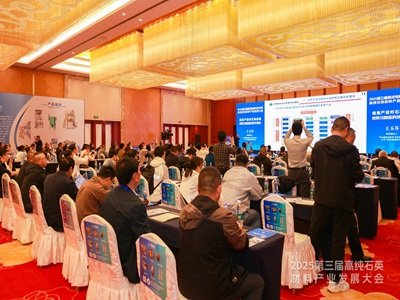 2025�����ü����·������ø߼�ʯӢ���Ϯa(ch��n)�I(y��)�l(f��)չ���¡���_Ļ