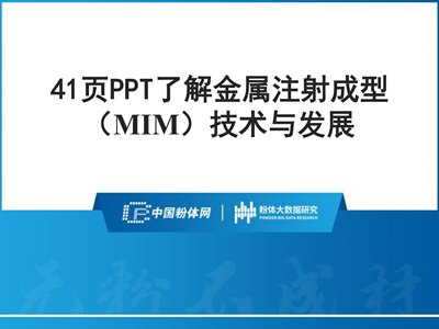 41�PPT�˽����ע����ͣ�MIM�����g�c�lչ