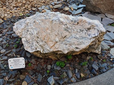 �@һ�a�I��ͻ���̰壬���Ǹ߼�ʯӢԭ�ϣ�