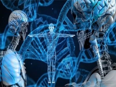 �u���׻�ʯ����������Ĺ��ޏͼ����������