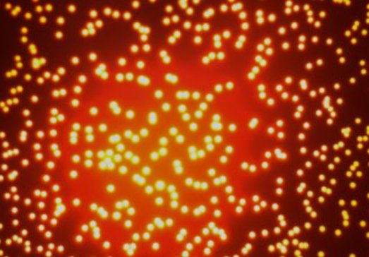 �����װl��ȫ�渲�w��JJF 1665-2017��ʽ�����xУ��Ҏ�����Ę˜����|�ذ�����