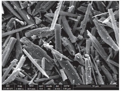 �����ø��Թ��ʯ���Pע�@�ɂ����c��