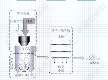 һ���D�˽⇊�F������＼�g���O��l(f��)չ�F(xi��n)��