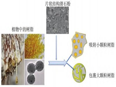 �켈����߀��30�����ϵĳ��m(x��)���L(zh��ng)���g��̼���}����ʯ��߀�ܛ_һ�_��