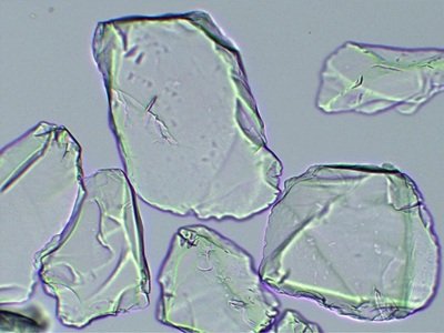 ���ϴ�W������16�ʯӢ�о��ɹ�����ʶ�헼��g�̰壡