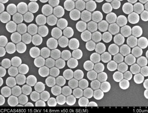 �ƾ��늳ظ�Ĥ��о������(zh��n)������Ƽ�6N���������輚���_�����a����ƪ��