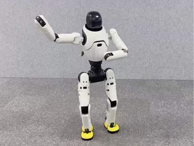 2025���ΙC������PEEK����ʮ����I���