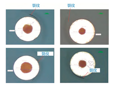 ��������TGV�����y�}���½⣡�o�C���_�Ӽ��g�������M���b�ɿ���