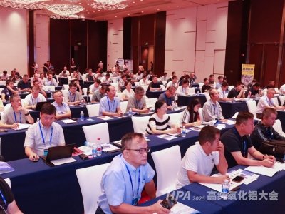  2025ȫ���߼������X������ؑc¡���_Ļ��