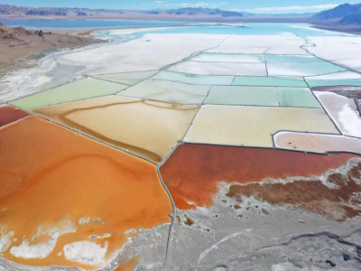 ��������}���f��늳ؼ�̼����ĿͶ�a��