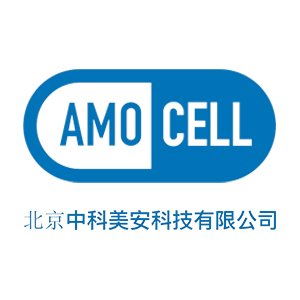 ��չ�����]�������п������Ƽ����޹�˾������ϯ2025�댧(d��o)�w�ИI(y��)�ý���ʯ���ϼ��g(sh��)���