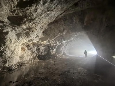 �@һʡ20��̼���}�䰸�Ŀ��������Щ��˾�ģ�