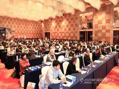 �ƾֶ�����2025�ھŌ�ȫ��ʯӢ�����չ�[���ɹ����_