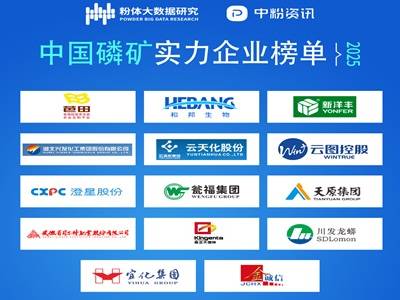 2025�Ї��׵V������I���