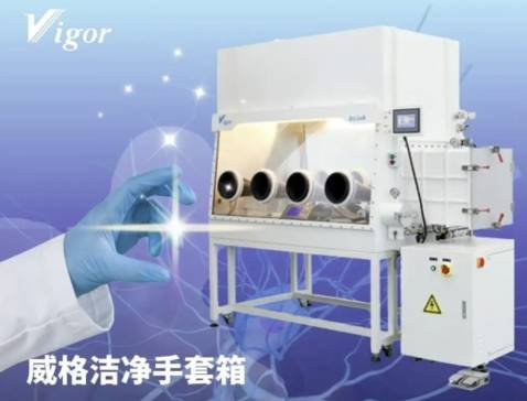 �Z������ĿƌW���_������������Ҋ���ߌWͻ��