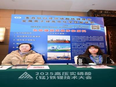 2025�߉������ᣨ�i���F䇼��g�����չ��I�L�����[