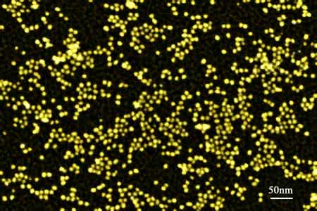 ���ټ{���w���������ǻ����