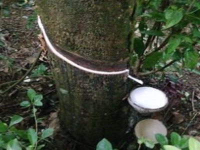 �z�rһ�١���� ���o�����z�@�������ط����ڎp��