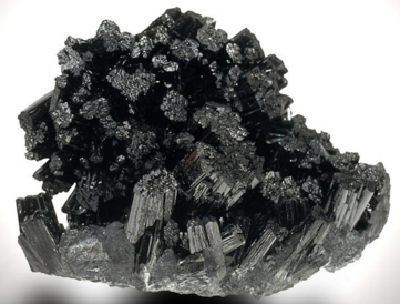 �V�����X�l�Fһ����Ҏģ�i�V