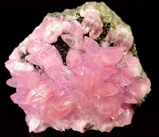 ⒃r(ji��)���m(x��)���q�����������l(shu��)��Ӱ푣�