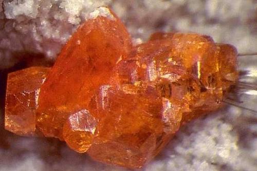 �ИI(y��)��ُ(g��u)��������ϡ����ُ(g��u)���Cϡ���������a(ch��n)������