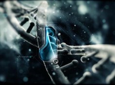 ���@���{�׿Ƽ��������L�����ϣ���