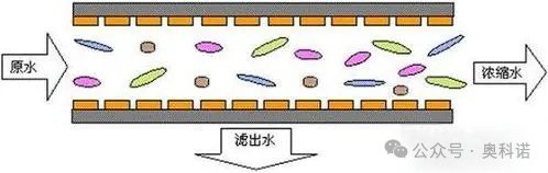 102912_798951_gsdt.png 微信圖片_20250110102739.png